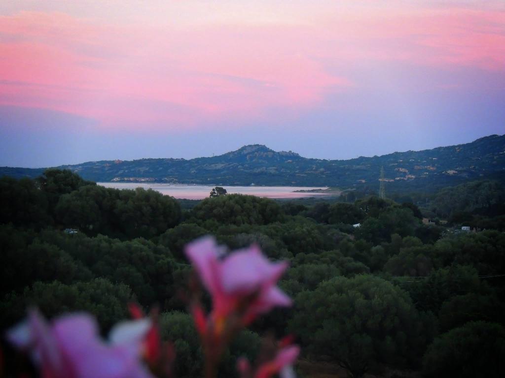 Agriturismo Sa Mendhula Cugnana Camera foto