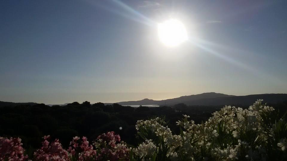Agriturismo Sa Mendhula Cugnana Camera foto