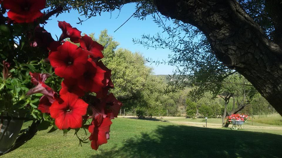 Agriturismo Sa Mendhula Cugnana Esterno foto