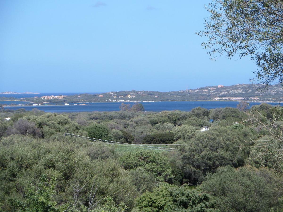 Agriturismo Sa Mendhula Cugnana Esterno foto
